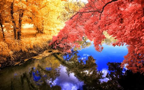Wallpaper Trees Landscape Colorful Fall Lake Water Nature Reflection Grass Branch