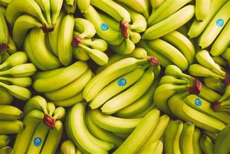 Cameroon Exported 11907 Tons Of Banana In May 2021 Up 03 Yoy