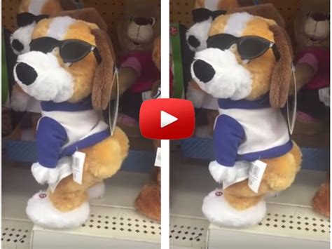 Twerking Dog Is That Really Something We Want To Teach Our Kids