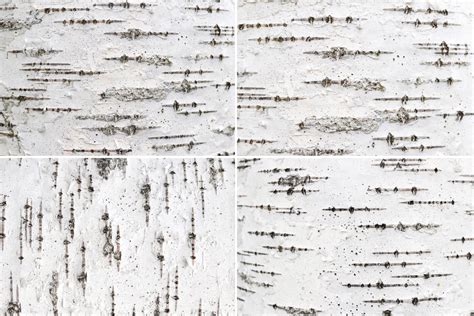 12 Birch Bark Background Textures Filtergrade Textured Background