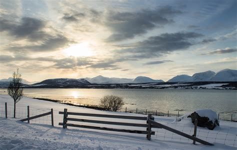Wallpaper Vinter Lyngen Norway Winter Snow Sun Fence Seascape