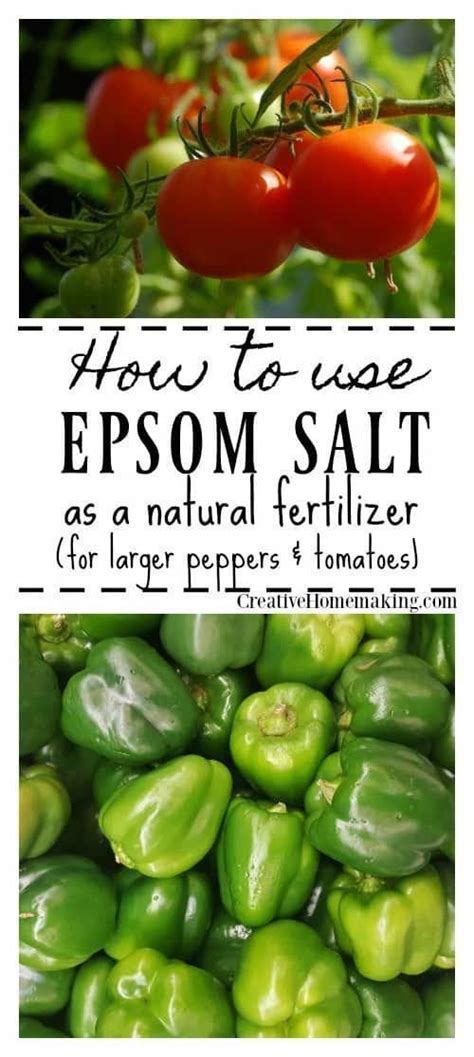 Using Epsom Salt As A Natural Fertilizer In The Garden Natural