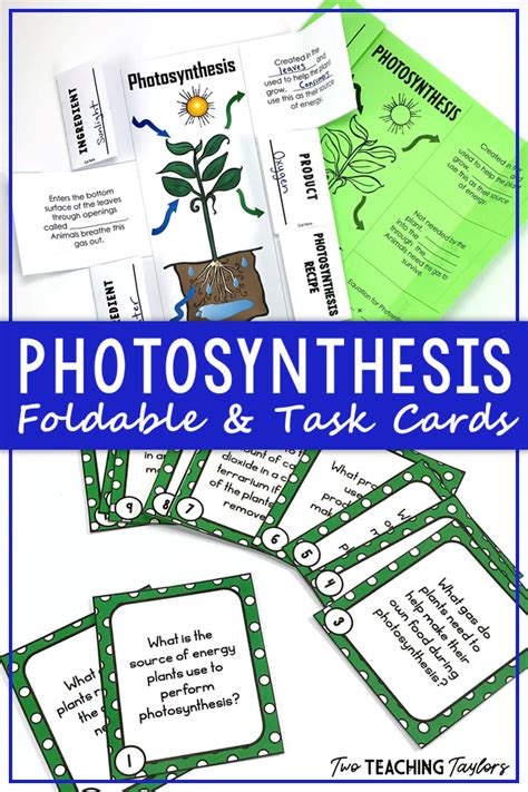 Photosynthesis Foldable Notes And Task Cards Activity Photosynthesis