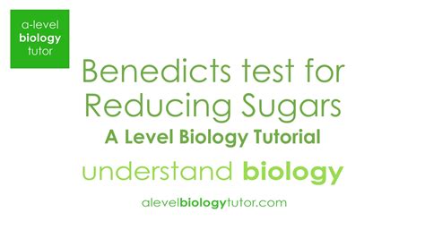 Benedicts Test For Reducing Sugars A Level Biology Ocr A Eduqas