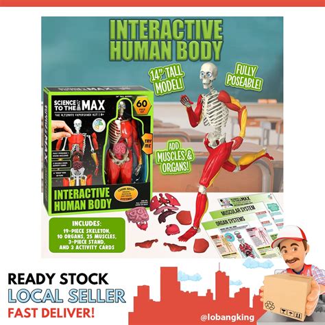 Sgstock Be Amazing Toys 2331 Interactive Human Body Fully Poseable