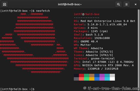 Red Hat Rhel 9 Netinstall Guide Gnome 40 Tour Full Install Guide