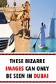 These Bizarre Images Can Only be Seen in Dubai | Funny jokes, Humor ...