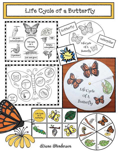 The Life Cycle Of A Butterfly Activities Butterflies Activities Life