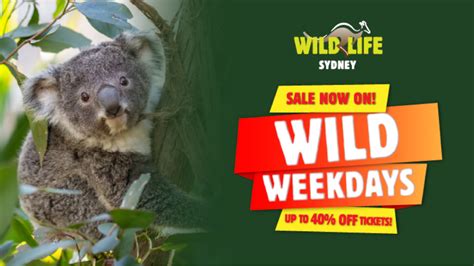 Wild Life Sydney Zoo Epic Deals And Last Minute Discounts