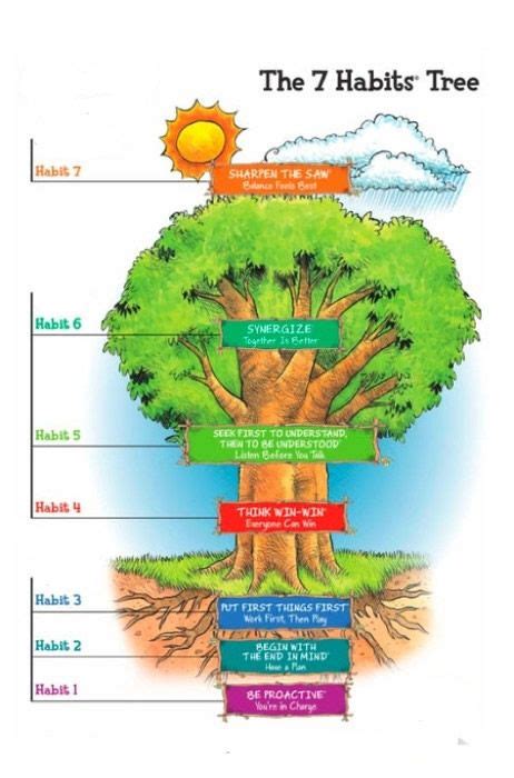 The Tree Leader In Me 7 Habits Tree 7 Habits