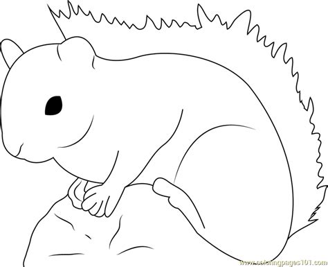Red Squirrel Coloring Page For Kids Free Squirrel Printable Coloring