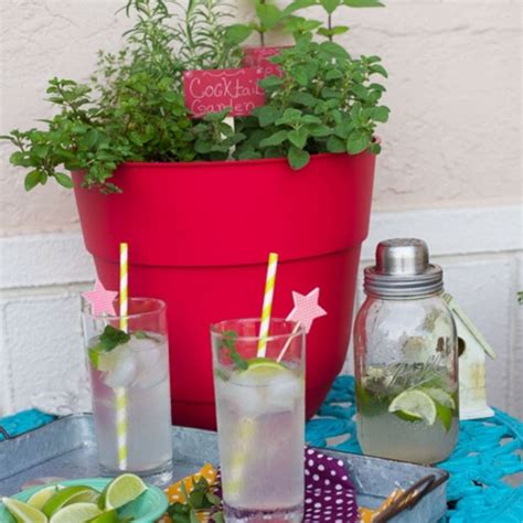 The english garden is made using typical english flavours and ingredients such as gin & cucumber in addition to elderflower and fresh apple juice. How To Grow a Cocktail Herb Garden - Flour On My Face
