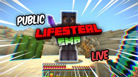 Lifesteal Smp Public Youtube