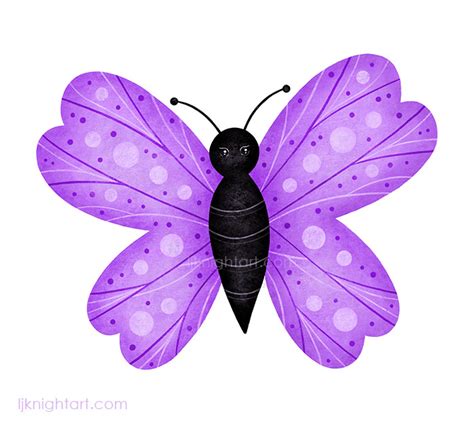 Cute Purple And Black Butterfly Drawing Lj Knight Art