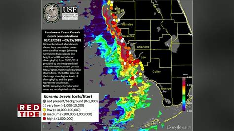 High Concentrations Of Red Tide Remain Off Coast Of Pinellas Manatee