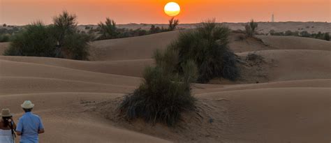 السياحة البيئية في دبي المحميات، المشروع الوطني والمزيد ماي بيوت