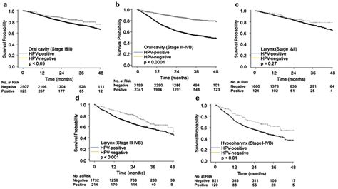 Unadjusted Kaplanmeier Overall Survival Curves For Hpv Negative And