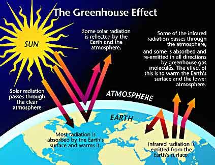 Evidence that humans are causing global warming. TruthMove - Global Warming