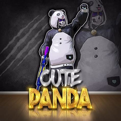 Cute Panda Pubg Id Real Name Age Face Hometown And More
