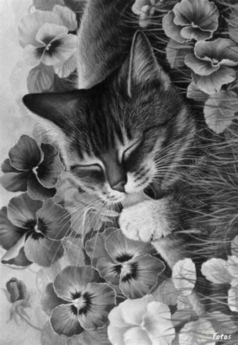 A coloring page full a cute cats all differents. cat kitten Coloring pages colouring adult detailed ...