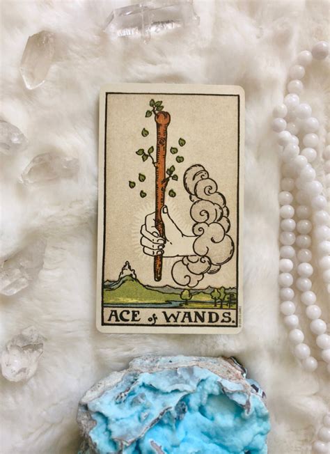 Check spelling or type a new query. Future Tarot Meanings: Ace of Wands | Tarot, Tarot meanings, Tarot card meanings