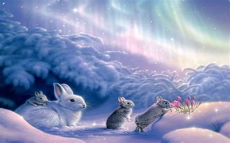 Winter Snow Animal Artistic Rabbit Bunny Hd Wallpaper Peakpx
