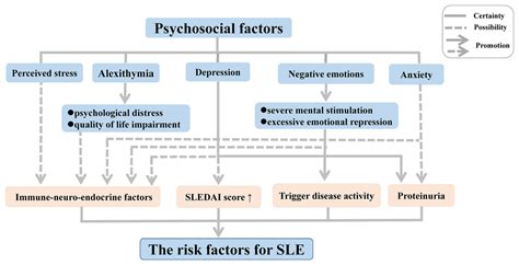 Updated Advances Of Linking Psychosocial Factors And Sex Hormones With