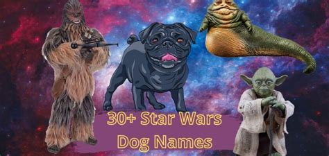 Star Wars Dog Names List Of Ideas Petstime