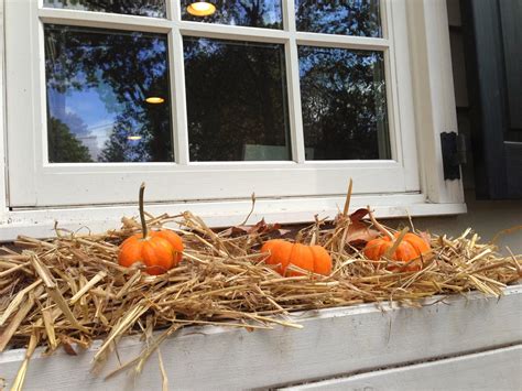 Jul 01, 2021 · window boxes resting on sills or hanging on railings never fail to dress up a house. Pretty Little Things by The Paper Cottage: Super-easy fall ...