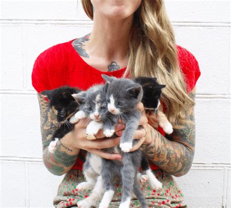 Meet The Kitten Lady Who Has Single Handedly Rescued Hundreds Of Kittens
