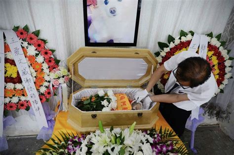 If you can bury it in your backyard, look into the major downside to pet cemeteries is the price. Pet funerals on the rise in China as owners say farewell ...