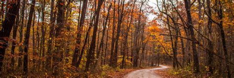 Top Places To See Fall Foliage In Bloomington Indiana