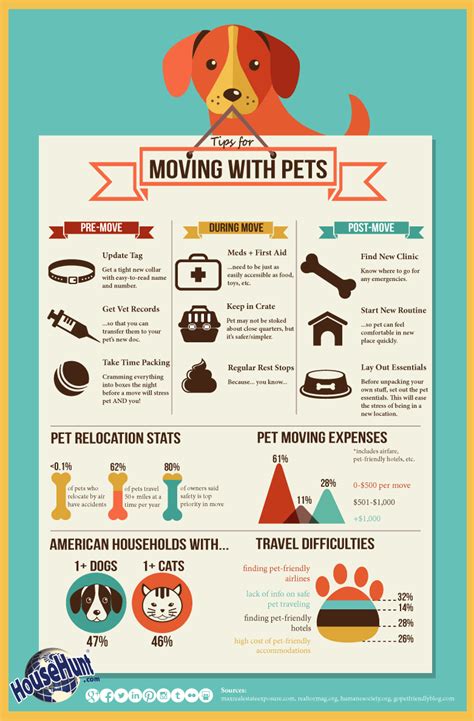 Pet owners can decide that rather than pay upfront payments for insurance that they may never use, they can take out an interest free or low cost payment. Tips for Moving with Pets Infographic | Moving tips ...
