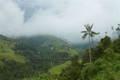 Coffee Cultural Landscape Of Colombia Lac Geo