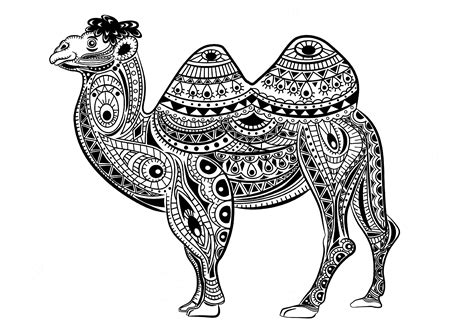 Zentangle Camel  Camels & Dromedaries Adult Coloring Pages