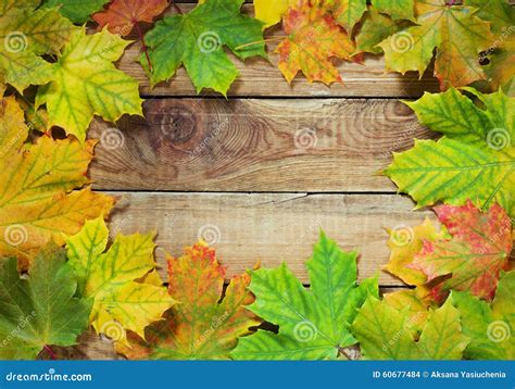 Autumn Leaves Border On Rustic Background Stock Photo Image Of