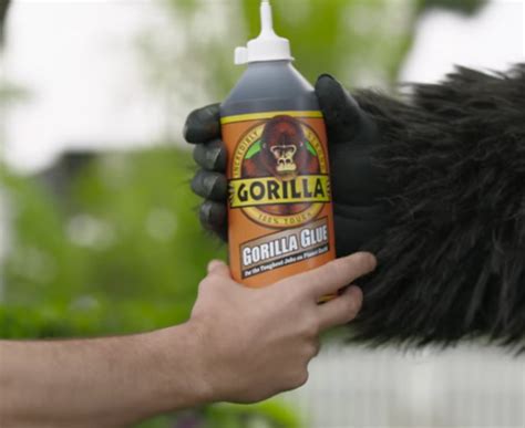 How Long Does Gorilla Glue Take To Dry Glueaid