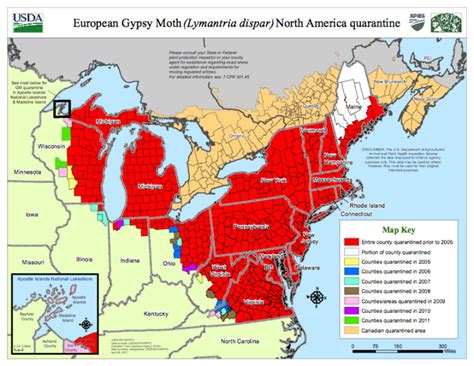 Illinois Forestry Association Gypsy Moth