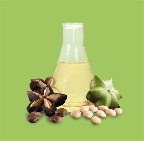 Conventional Sacha Inchi Oil Candela Organic