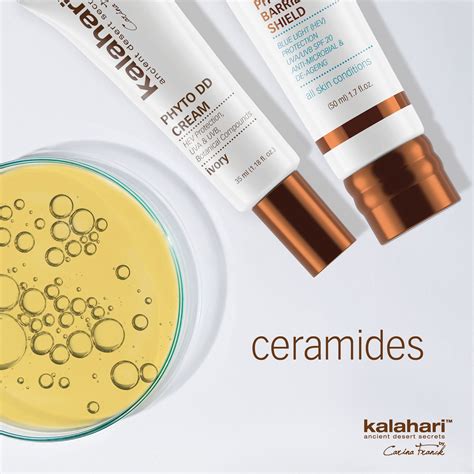 Do Your Skincare Products Contain Ceramides Ceramides Are Natural
