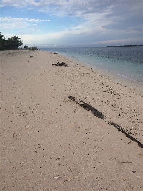 The Pink Sand Beach Sta Cruz Island Zamboanga City Philippines