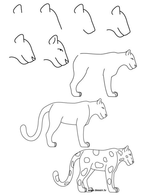 Farm animals drawings get the. How To Draw Easy Animals Step By Step Image Guide | Easy ...