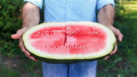 Saving The Sweetest Watermelon The South Has Ever Known The Salt Npr