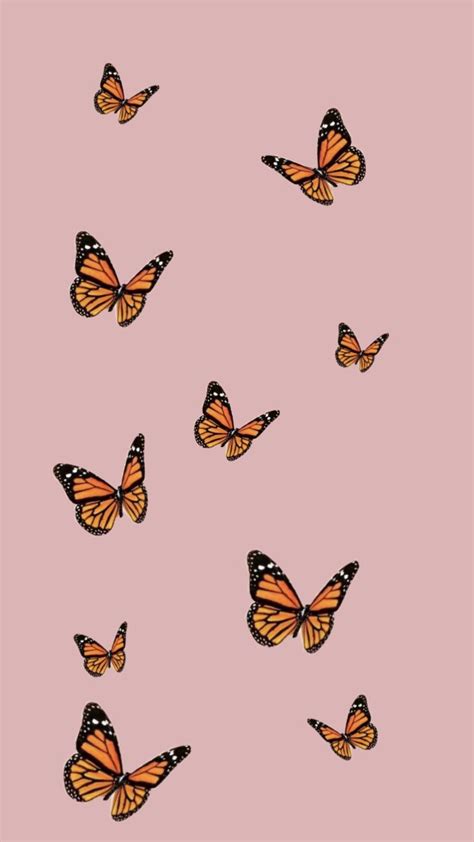 Aesthetic Butterfly Wallpapers Top Free Aesthetic Butterfly
