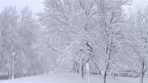 We did not find results for: Ketahui 9 Maksud Di Sebalik Warna Yang Korang Suka ...