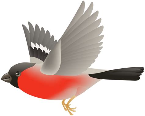 Red Flying Bird Transparent Clip Art Image Gallery Yopriceville