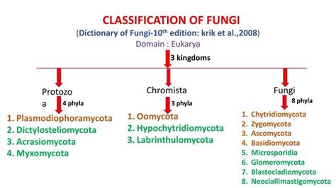 Classification Of Fungi By Dictionary Of Fungi Krik Et Al Fungi