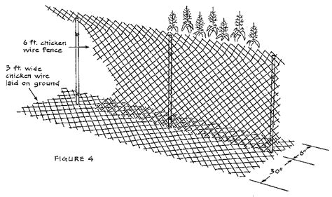 How to keep groundhogs out of garden. Woodchucks Situations & Solutions