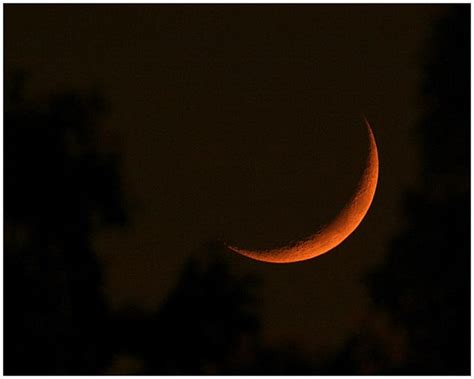 Red Crescent Moon Logo Logodix