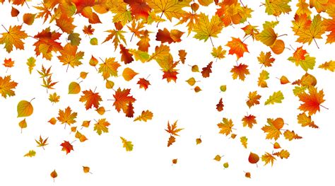 Free Fall Leaves Clipart Translucent Pictures On Cliparts